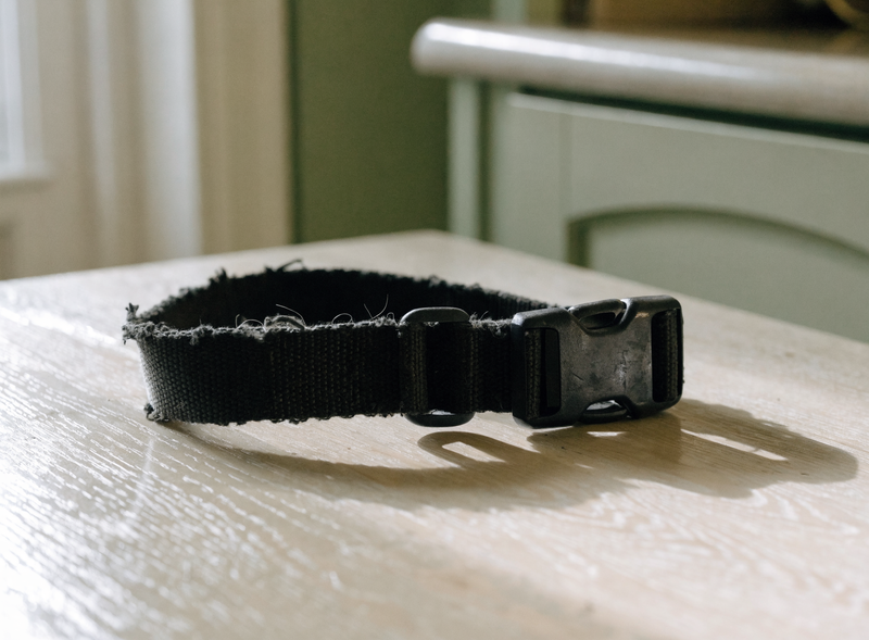 A worn nylon dog harness with frayed webbing on a kitchen table